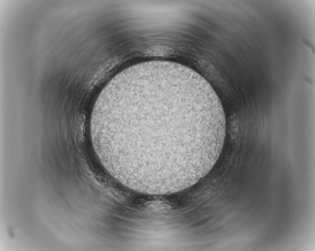 X0000102410544200808291510