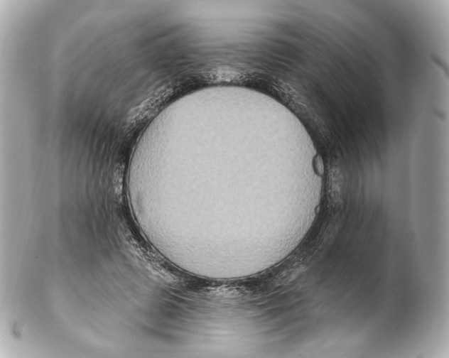 X0000102410545200808291510