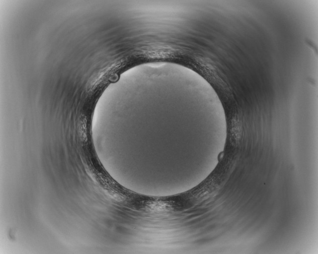 X0000102410547200808291510