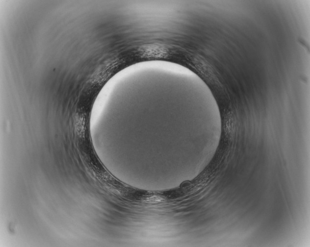 X0000102410551200808291510