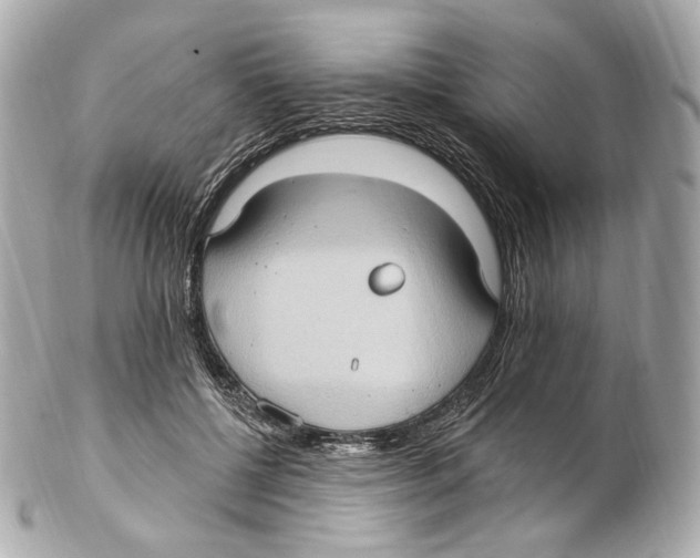 X0000102410552200808291510