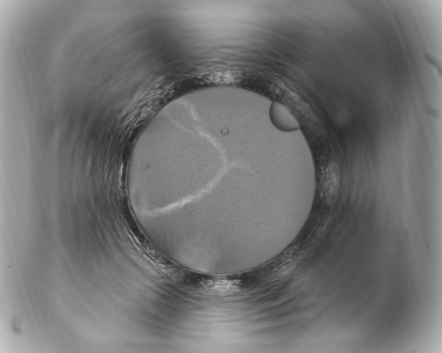 X0000102410553200808291510