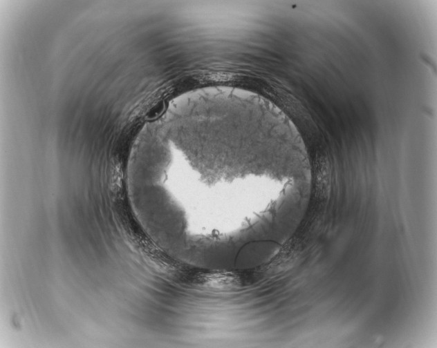 X0000102410555200808291510