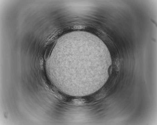 X0000102410556200808291510