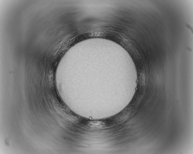 X0000102410557200808291510