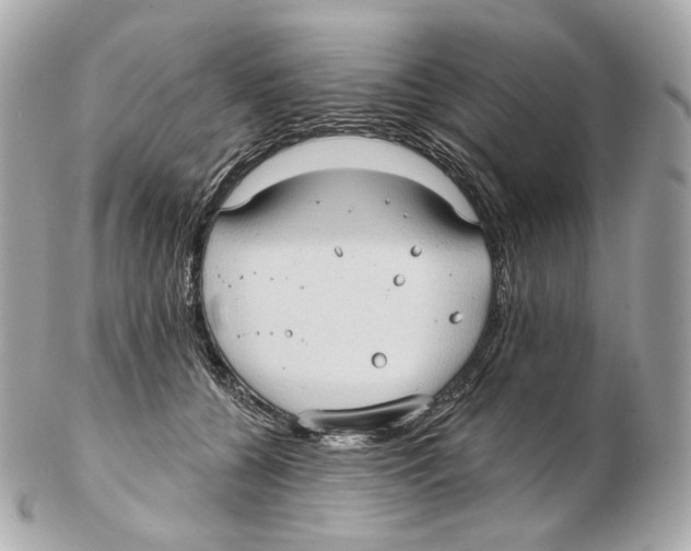 X0000102410560200808291510