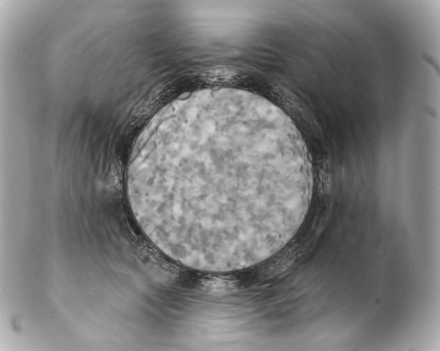 X0000102410561200808291510