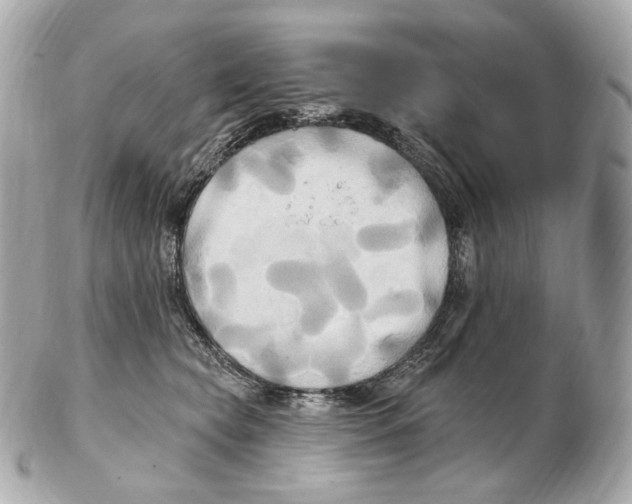 X0000102410565200808291510