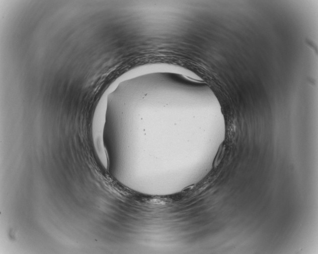 X0000102410566200808291510