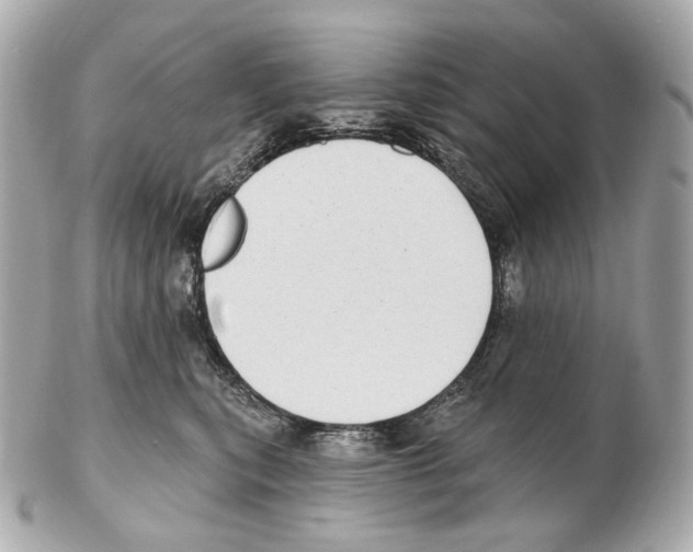 X0000102410567200808291510