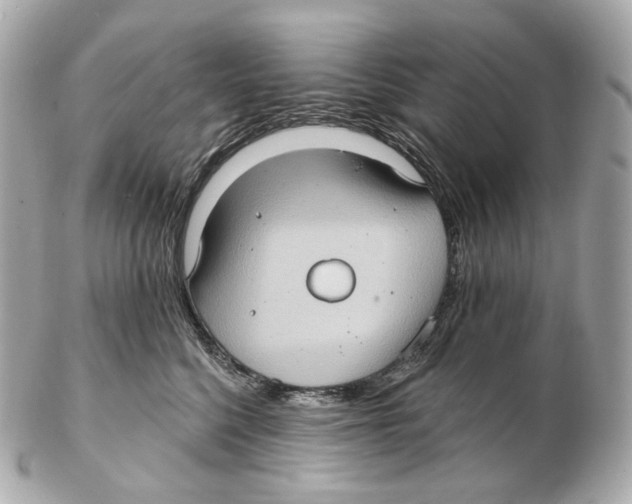 X0000102410568200808291510