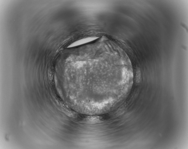 X0000102410569200808291510