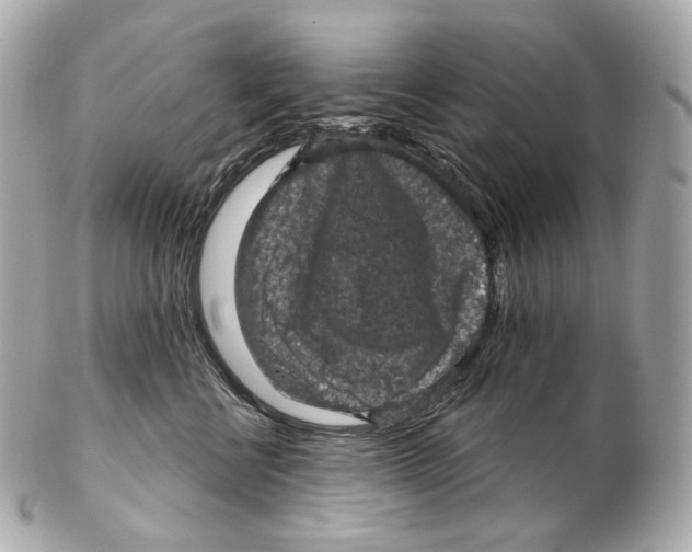 X0000102410570200808291510