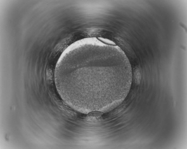 X0000102410571200808291510