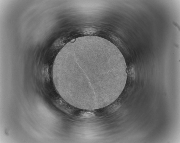 X0000102410572200808291510