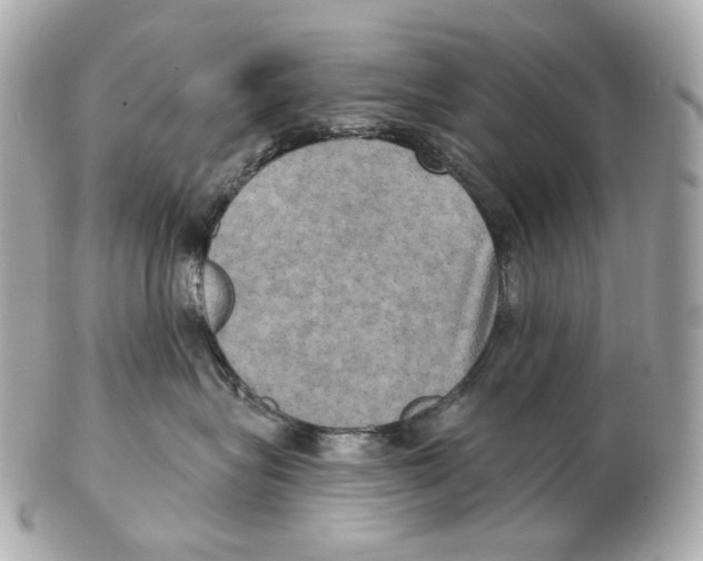 X0000102410575200808291510