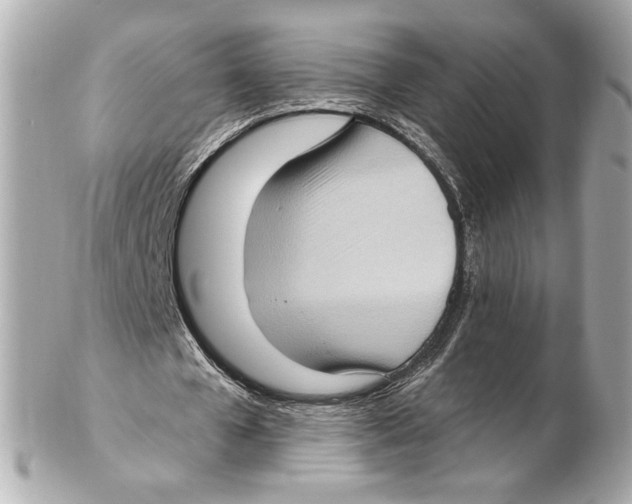 X0000102410577200808291510