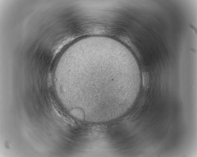 X0000102410579200808291510