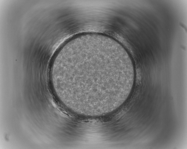 X0000102410580200808291510