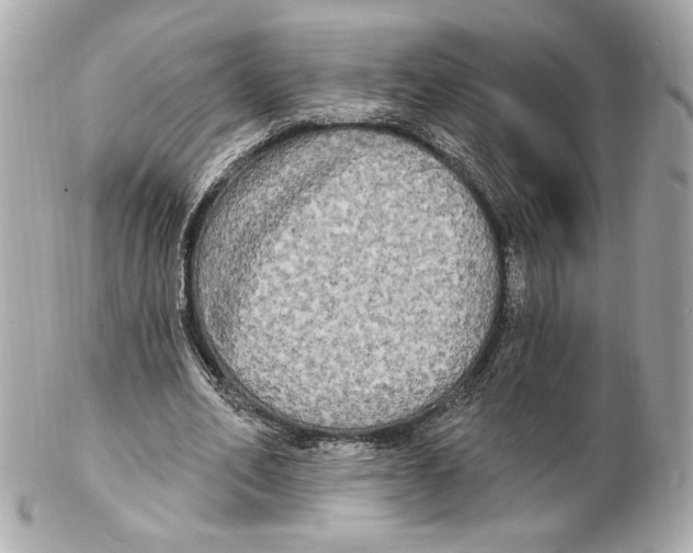 X0000102410582200808291509