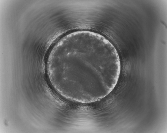 X0000102410584200808291509