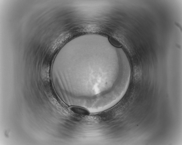 X0000102410585200808291509