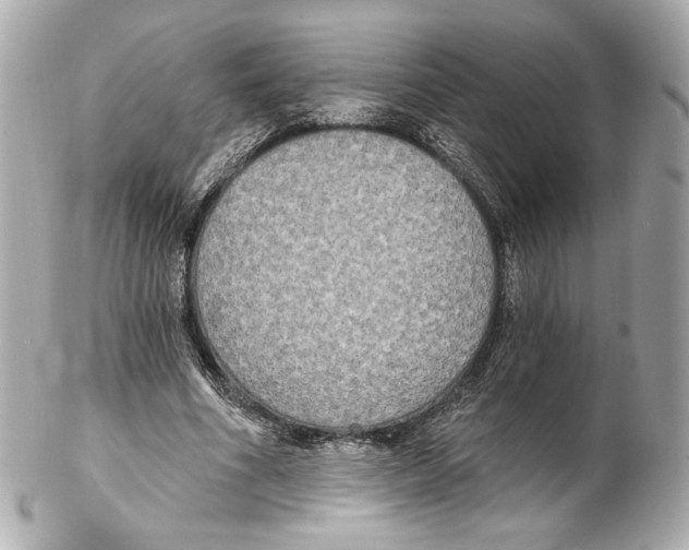 X0000102410586200808291509