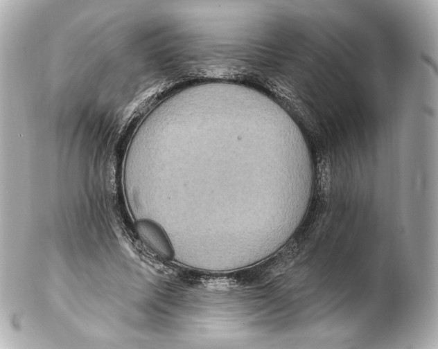 X0000102410587200808291509