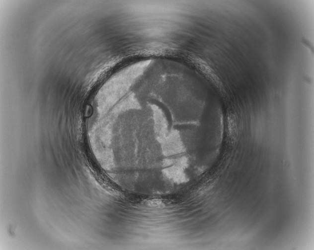 X0000102410588200808291509