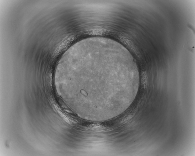 X0000102410589200808291509