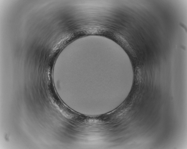 X0000102410590200808291509