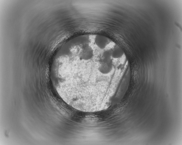 X0000102410591200808291509