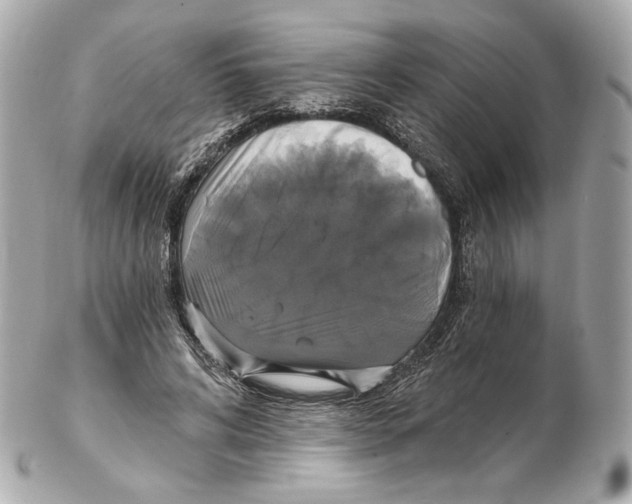 X0000102410592200808291509