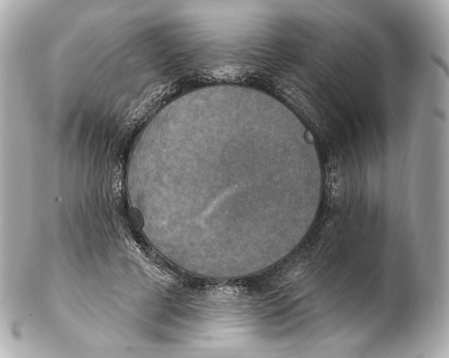 X0000102410593200808291509