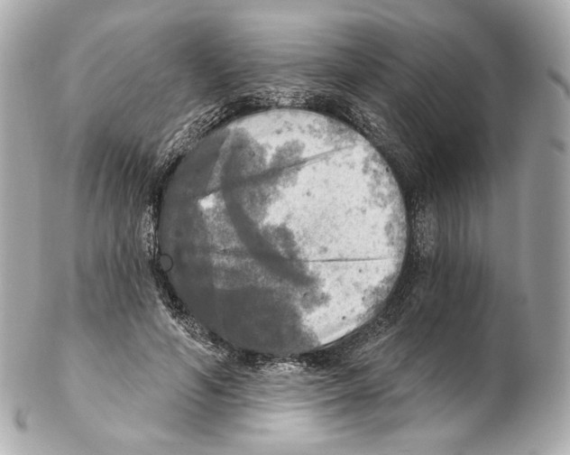 X0000102410594200808291509