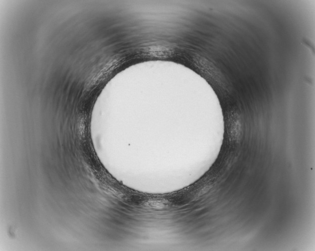 X0000102410595200808291509