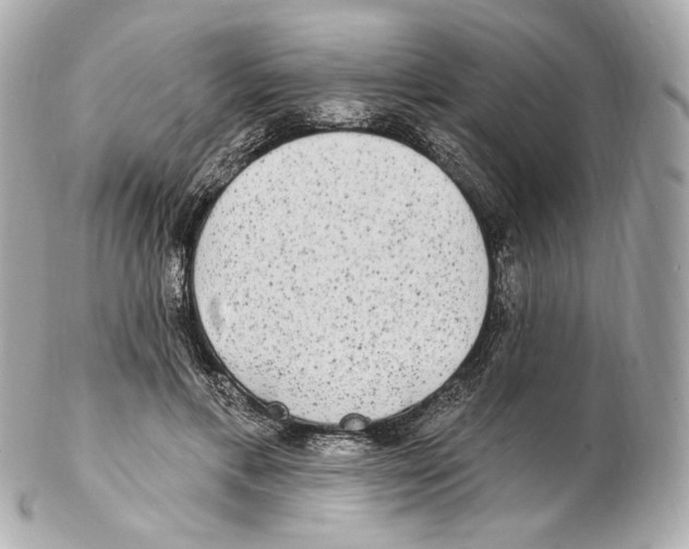 X0000102410597200808291509