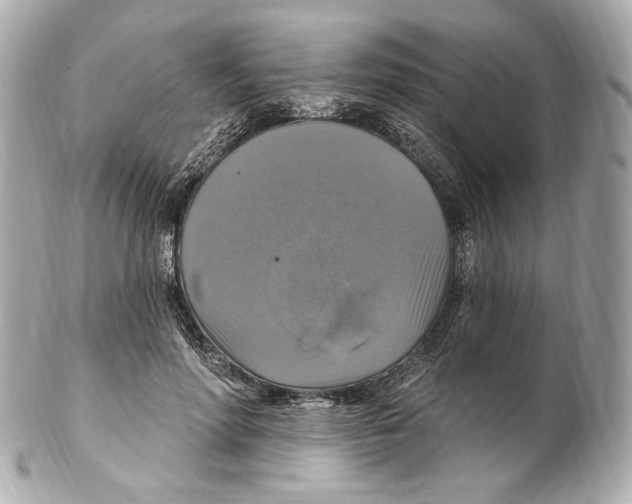 X0000102410598200808291509