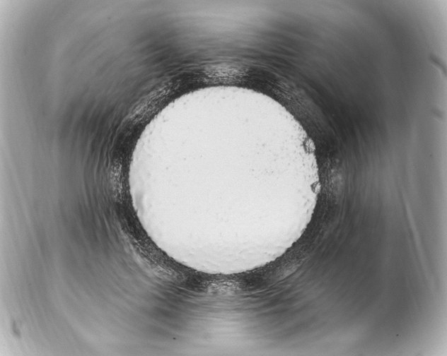 X0000102410599200808291509