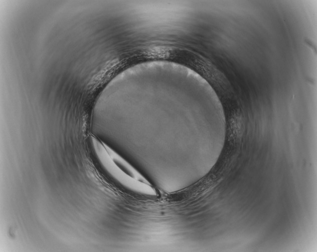 X0000102410600200808291509