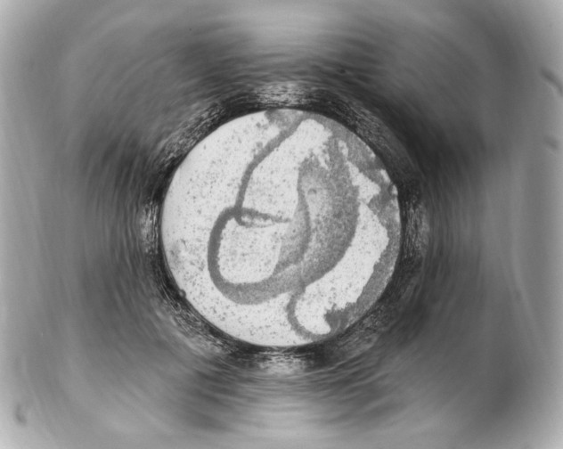 X0000102410601200808291509