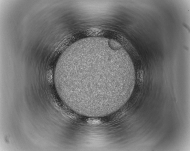 X0000102410602200808291509