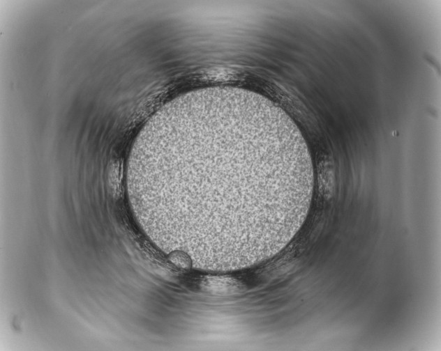 X0000102410605200808291509