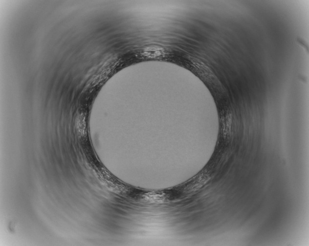 X0000102410606200808291509