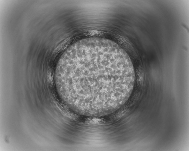 X0000102410607200808291509