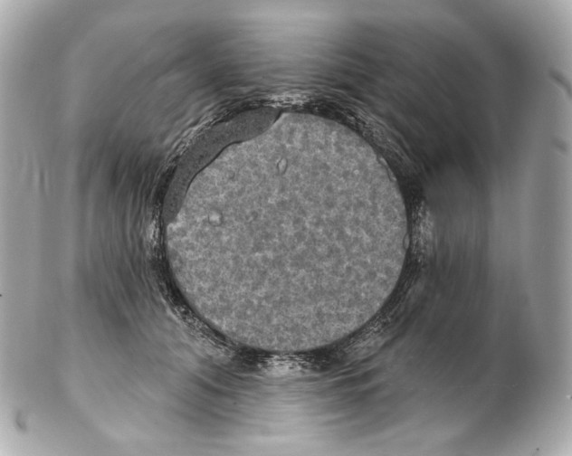 X0000102410608200808291509