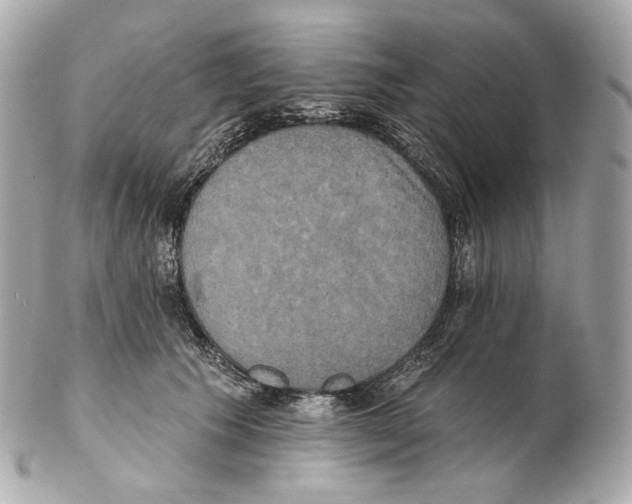 X0000102410609200808291509