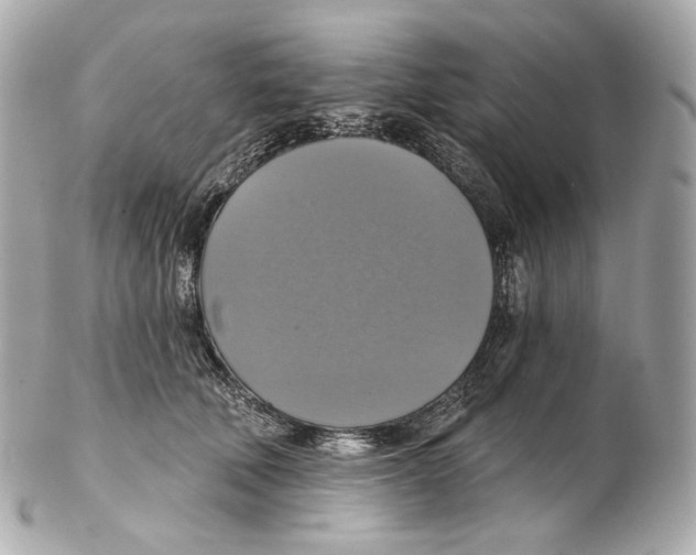 X0000102410610200808291509