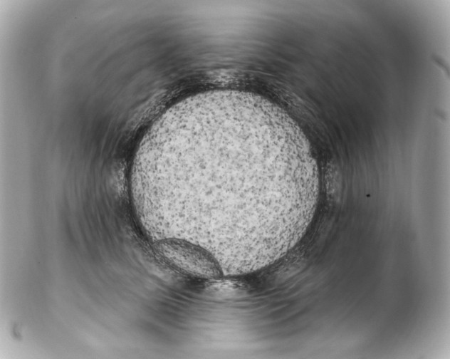 X0000102410611200808291509