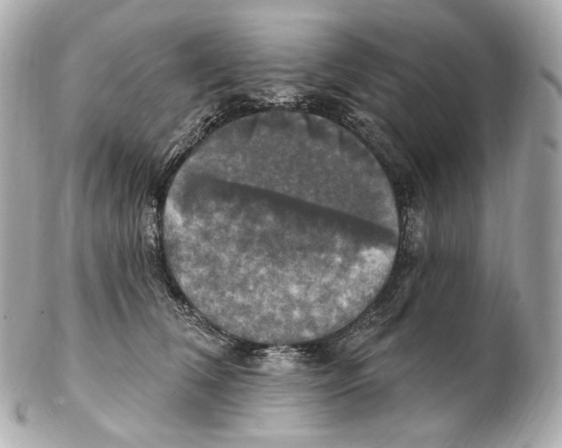 X0000102410612200808291509